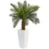 Homplanti 3' Cycas Tree In White Tower Planter