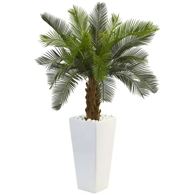 Homplanti 3' Cycas Tree In White Tower Planter