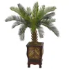 Homplanti 3' Cycas Tree In Wood Planter