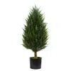 Homplanti 3' Cypress Tower Tree Uv Resistant (indoor/outdoor)
