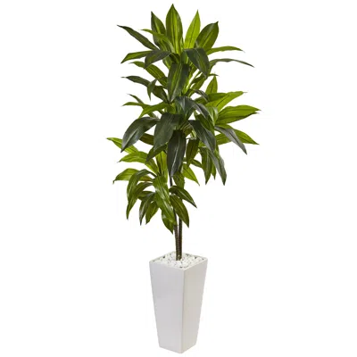 Homplanti 3' Dracaena Plant In White Tower Planter (real Touch)