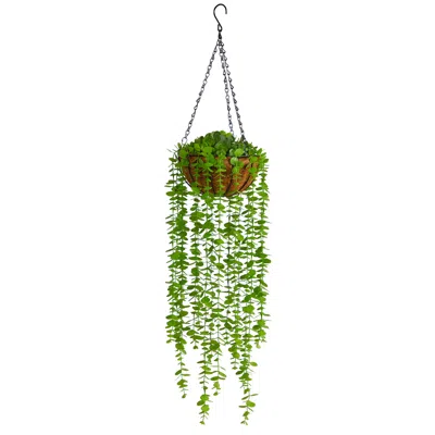 Homplanti 3' Eucalyptus Artificial Plant In Hanging Basket In Green
