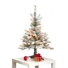 Homplanti 3' Flkd West Virginia Spruce Xmas Tree W/50 Lts & 142 Tips