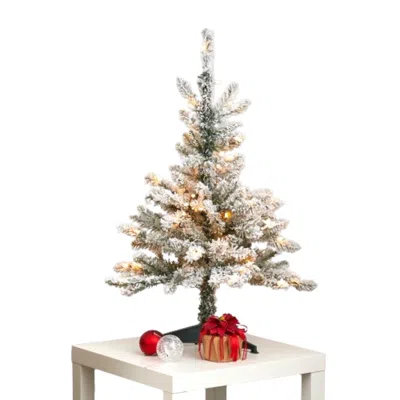 Homplanti 3' Flkd West Virginia Spruce Xmas Tree W/50 Lts & 142 Tips