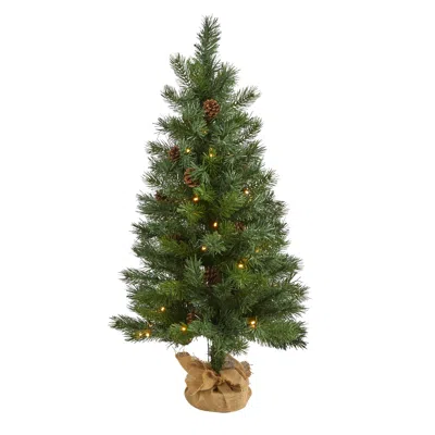 Homplanti 3' Fraser Fir Xmas Tree W/50 Leds, 90 Tips, Burlap Base In Green