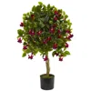 Homplanti 3' Fuchsia Tree