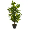 Homplanti 3' Lemon Artificial Tree