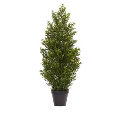 Homplanti 3' Mini Cedar Pine Tree (indoor/outdoor)