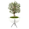 Homplanti 3' Olive Artificial Tree In White Planter With Metal Stand