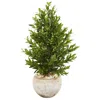 Homplanti 3' Olive Cone Artificial Tree In Planter Uv (indoor/outdoor)