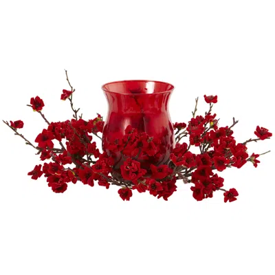 Homplanti 3" Plum Blossom