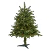 Homplanti 3' South Carolina Spruce Xmas Tree W/100 Lights And 458 Tips
