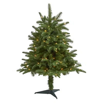 Homplanti 3' South Carolina Spruce Xmas Tree W/100 Lights And 458 Tips In Green