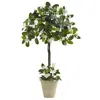 Homplanti 3' Stephanotis Topiary W/planter