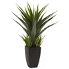Homplanti 30" Agave W/black Planter