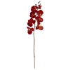 Homplanti 30" Autumn Phalaenopsis Artificial Flower (set Of 6)