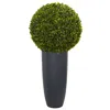Homplanti 30" Boxwood Topiary In Gray Planter (indoor/outdoor)