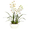 Homplanti 30" Cymbidium W/white Vase