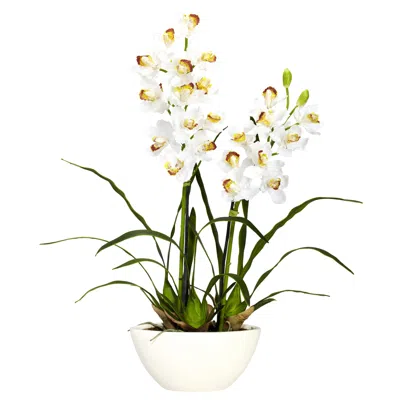 Homplanti 30" Cymbidium W/white Vase