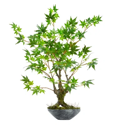 Homplanti 30" Maple Bonsai Artificial Tree In Planter