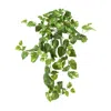 Homplanti 30" Pothos Hanging Bush (set Of 3)