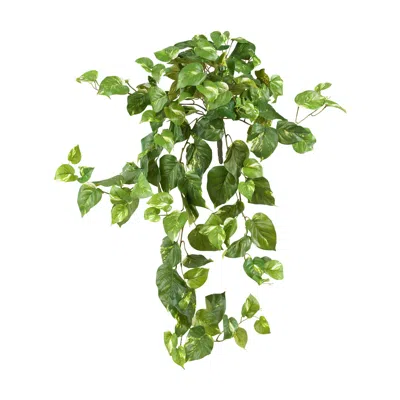 Homplanti 30" Pothos Hanging Bush (set Of 3)