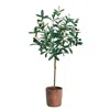 Homplanti 31" Olive Artificial Tree
