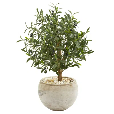 Homplanti 31" Olive Artificial Tree In Bowl Planter In Green