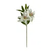 Homplanti 31" Ruburn Lily Artificial Flower (set Of 2)
