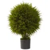 Homplanti 32" Cedar Ball Topiary
