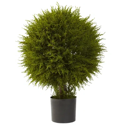 Homplanti 32" Cedar Ball Topiary