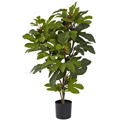 Homplanti 32" Fig Tree W/42 Lvs & 15 Fruits