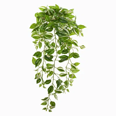 Homplanti 32"wandering Jew Hanging Plant (set Of 2)(realtouch)