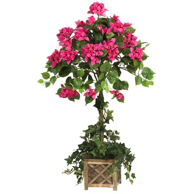 Homplanti 34" Bougainvillea Topiary W/wood Box