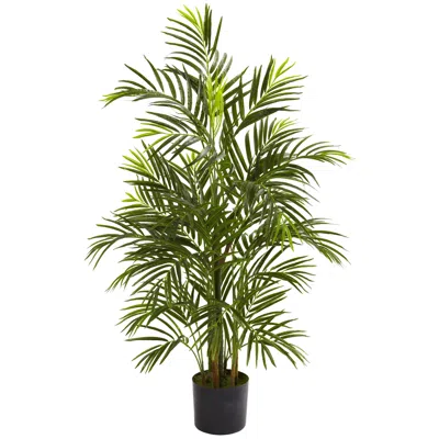 Homplanti 3.5' Areca Palm Uv Resistant X 7 W/522 Lvs (indoor/outdoor)