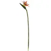 Homplanti 35'' Bird Of Paradise Artificial Flower (set Of 4)