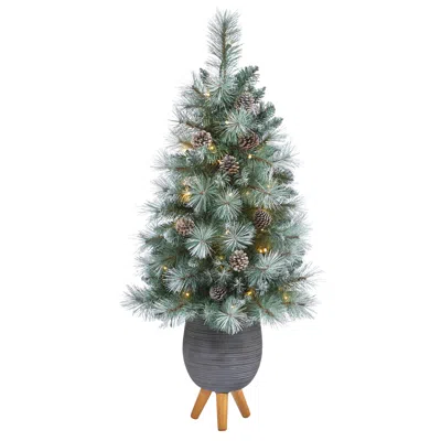 Homplanti 3.5' Brit Columbia Pine Xmas Tree W/50 Light In Gray Planter