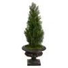 Homplanti 3.5' Cedar Pine Tree In Urn Uv Resistant (indoor/outdoor)
