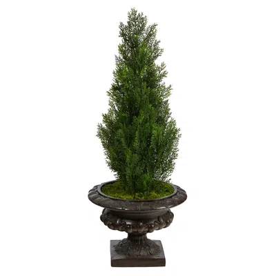 Homplanti 3.5' Cedar Pine Tree In Urn Uv Resistant (indoor/outdoor)