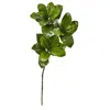Homplanti 35" Magnolia Leaf Artificial Spray Plant (set Of 3)