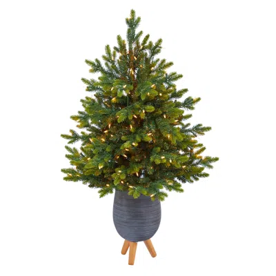 Homplanti 3.5' North Carolina Xmas Tree In Gray Planter With Stand