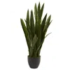Homplanti 35" Sansevieria W/black Planter