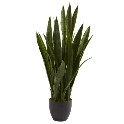 Homplanti 35" Sansevieria W/black Planter