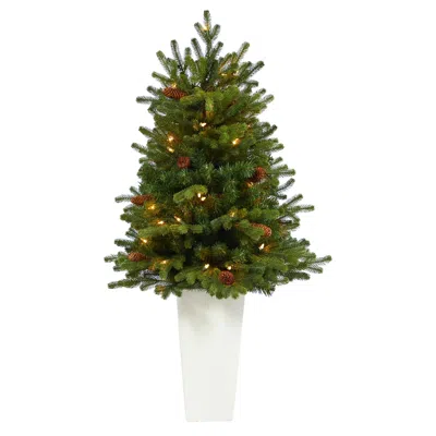Homplanti 3'.5 Yukon Fir Xmas Tree W/50 Clear Lights In White Planter