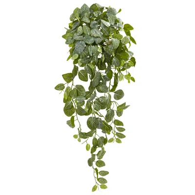 Homplanti 36" Fittonia Artificial Hanging Bush (set Of 2)(real Touch)
