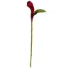 Homplanti 36" Ginger Artificial Flower (set Of 3)