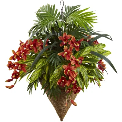 Homplanti 36" Mixed Tropical & Cymbidium Hanging Basket In Green