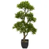 Homplanti 37" Bonsai Styled Podocarpus Artificial Tree