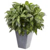 Homplanti 37" Silver King W/slate Planter