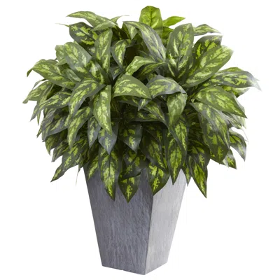 Homplanti 37" Silver King W/slate Planter